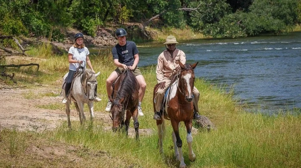 The Ultimate Alcohol-Free Guide to Livingstone: Nature, Wildlife & Wholesome Days Out